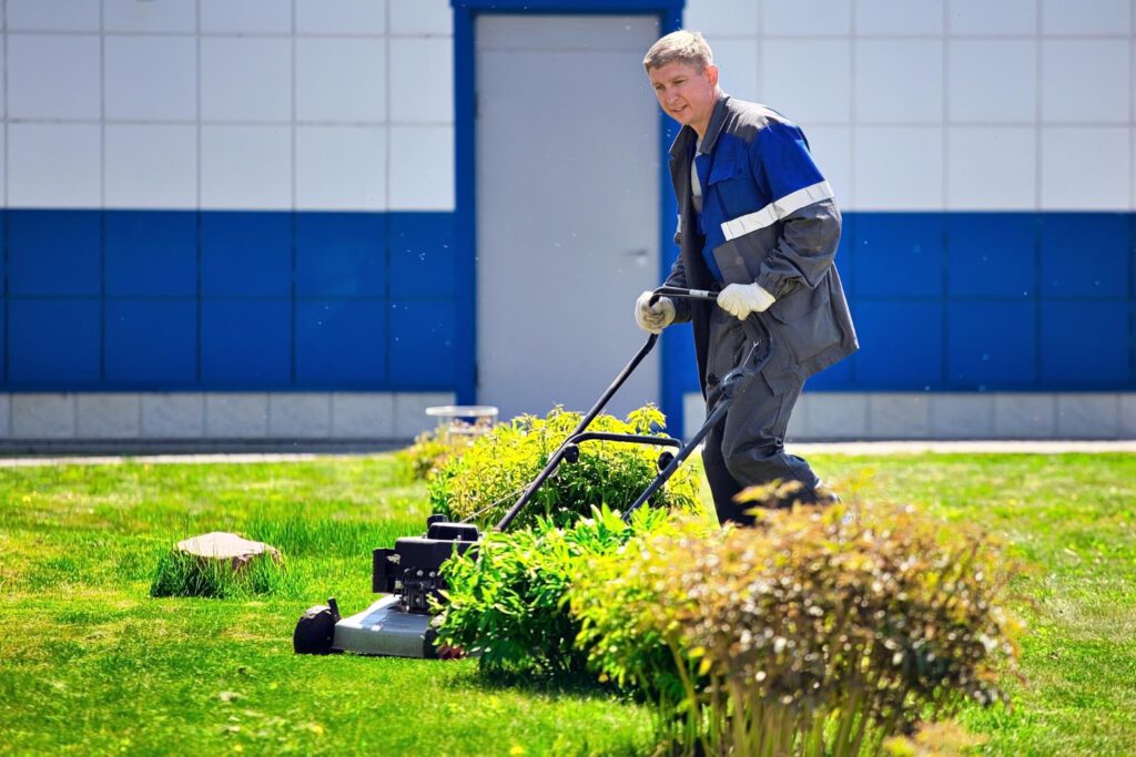 val de marne - Service de tonte et débroussaillage